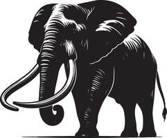 A stylized black and white illustration of a majestic elephant with prominent tusks and large ears vector