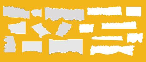 Collection of ripped paper sheets. Torn blank pages with texture. vector