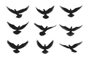 Silhouettes of pigeons in flight, various angles. vector