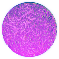 A circular image of a purple and pink object png