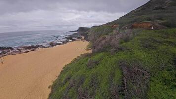 Turquoise ocean waves crash against black volcanic rocks near a sandy beach, with lush green hills and sparse palm trees in the background. video
