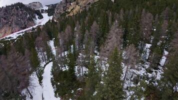 Aerial view of a winter forest in the Dolomites with snow dusted trees, bare ground, and snow covered peaks under a cloudy sky. Smooth camera motion. video