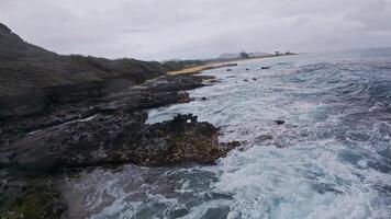 Golden sand beach on Oahu or Kauai with turquoise waters, gentle waves, palm trees, lush greenery, and a mountain slope under an overcast sky. video