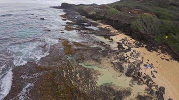 Energetic waves crash on black volcanic rocks along Hawaii's coastline, with green cliffs and an overcast sky creating a dramatic scene. video