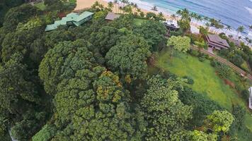 Aerial perspective of a sandy beach on a Hawaiian island, with turquoise waves rolling onto the shore, scattered rocks, and faint footprints in the sand. video