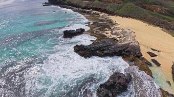 Gentle waves lap against dark volcanic rocks on a sandy beach in Hawaii, with lush greenery, low hills, and an overcast sky in the background. video