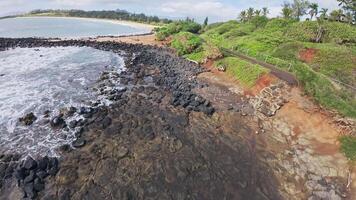 Serene beach scene with waves spreading across wet sand, lush greenery, scattered trees, and a partly cloudy sky on Oahu or Kauai. video