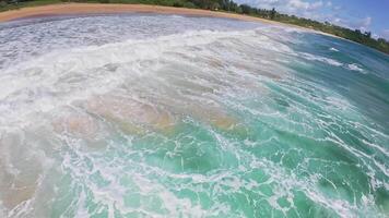 Golden sand beach on a Hawaiian island, likely Oahu or Kauai, with gentle waves, scattered palm trees, and people walking under a blue sky. video