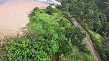 Turquoise waves crash and spread foam on a sandy beach in Hawaii, with palm trees, lush greenery, and a vibrant sky with scattered clouds. video