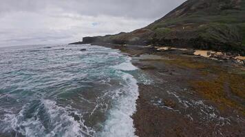 Dynamic ocean waves crash against dark volcanic rocks near a steep, green hillside on Oahu or Kauai, under an overcast sky. video