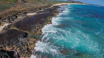 Sweeping aerial view over turquoise ocean waves crashing onto a sandy beach lined with palm trees, with lush green hills in the background. video