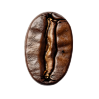 Roasted Coffee Bean Isolated On Transparent Background Detailed Close Up png