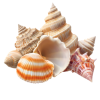 Assorted Seashells Collection with Spiral and Fan Shapes on Transparent Background png