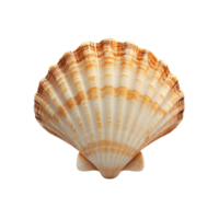 Seashell with Beige Bands on Transparent Background, Detailed Texture, Ocean Find png