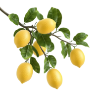 Lemon branch with leaves featuring fresh yellow citrus on transparent background png