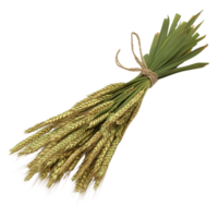 Sheaf of Wheat with Greenery and a Twine Tie Isolated on Transparent Background png