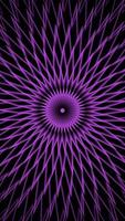 abstract purple visual loop background. line pattern geometric animation. video