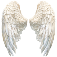 Two Majestic White Feather Wings Isolated on Transparent Background for Fantasy Design png
