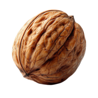 A close-up of a walnut showcasing its textured shell. png