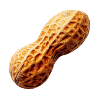Close-up view of a single roasted peanut in its shell. png