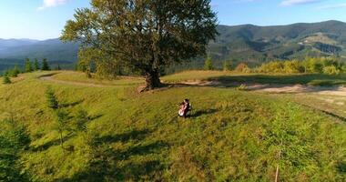Cellist playing music on a hill. Professional musician with cello among beautiful green nature in the mountains. Camera rising back. Aerial view. video