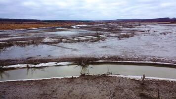 Nature in danger. Drought on earth. Narrow stream of dirty water of dried lake. Climate change. Ecological disaster. Environmental pollution. Motion camera back. video