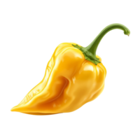 Golden habanero pepper exhibiting textured skin against a stark and unadorned setting png