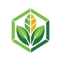 Logo design showcasing clean aesthetics for a biodegradable packaging company focusing on sustainable solutions and eco-friendly practices vector