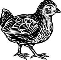A vintage style illustration of chick vector