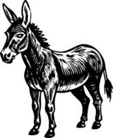 A vintage style illustration of donkey vector