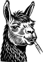 Llama chewing illustration in vintage style vector