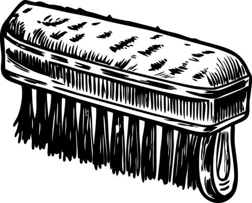 Cattle brush illustration in vintage style