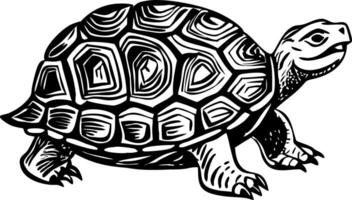 A sketchy style illustration of turtle vector