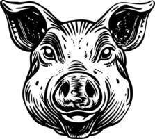 A sketchy style illustration of pig vector