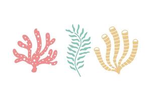 Corals and Seaweeds Set vector