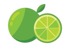 Fresh Lime Fruit Illustration, Slice, Citrus, Green Color, Flat Style, vector