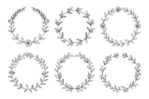 Six Floral wreath Frames with Leaves and Berries. Circle shape with Botanical Elements vector