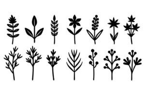 Black Floral Botanical Elements on White Background Pattern vector