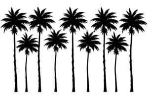 Silhouette Palm Trees , Tropical Trees on Transparent Background Design vector