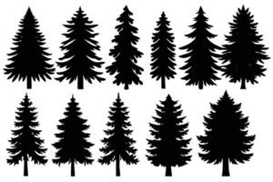 Evergreen Tree Silhouettes Assortment of Coniferous Trees, Forest Plants, Nature Elements vector