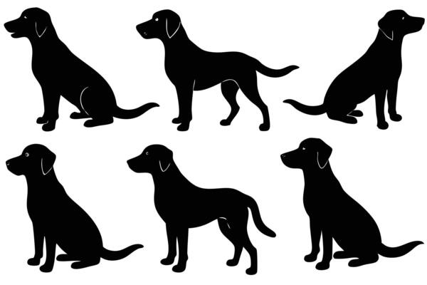 Silhouette of six dogs in different poses on transparent background