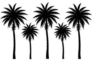 Black Palm Tree Silhouette Graphics on White Backgrounds for Creative Projects vector