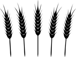 Five black ears of wheat on a white background, minimalist silhouette design vector