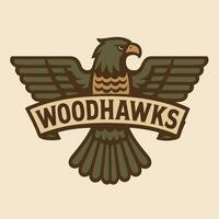 Stylized Hawk Illustration with Banner Design in Retro Colors vector