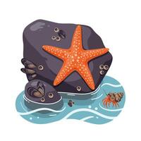 Starfish and Crab on Rocks in Water Illustration Graphic vector