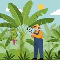 Farmer Inspecting Banana Plant with Magnifying Glass in Tropical Field vector