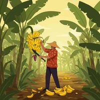 Man Harvesting Bananas in Tropical Plantation with Machete and Hat vector