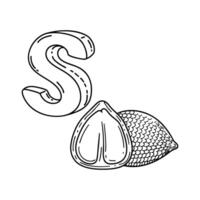 An illustration of letter S stand for Salak vector