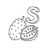 An illustration of letter S stand for Soursop vector