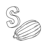 An illustration of letter S stand for Spaghetti squash vector